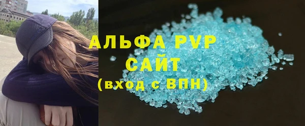 стаф Алексин