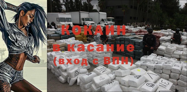 стаф Алексин