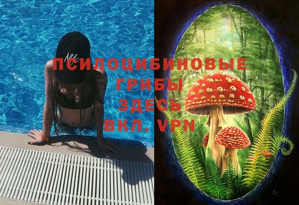 круглые Алзамай
