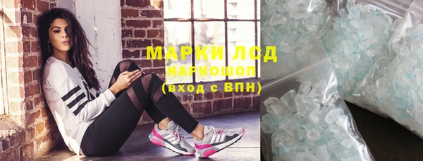 стаф Алексин